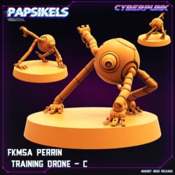 Perrin Training Drone A-C - FKMSA