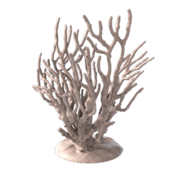 Ocean Set - Coral (2 Versions)