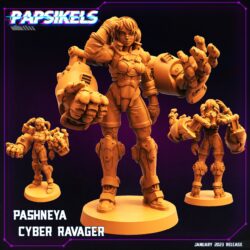 Cyber Ravager - Pashneya