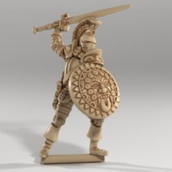 Paladin - Armour-clad