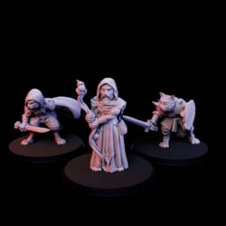 Catfolk - Warrior, Rogue, Magician