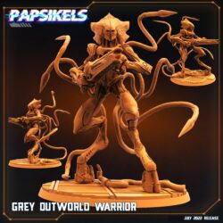 Xenos - Grey Outworld Warrior