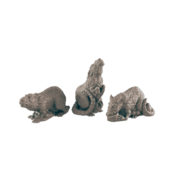 Rats (Several Variants)