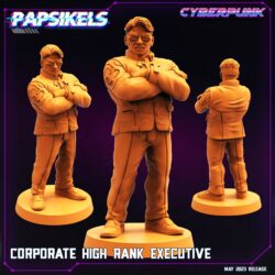 Corporate High Ranked Executive