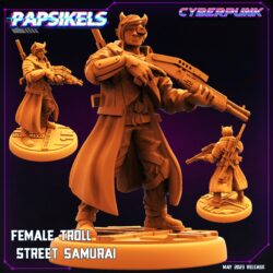 Street Samurai - Female Troll