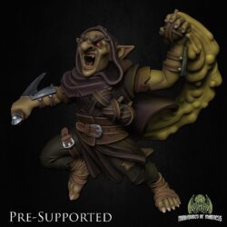 Rogue, Goblin Male - Zrag