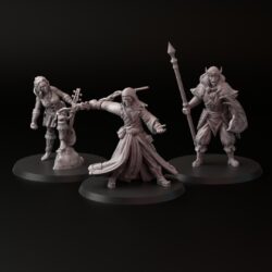 Alver - Bard, Magiker, Spjutman (3 Variants)
