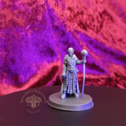 Sorcerer - Elf, Male with Staff