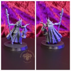 Necromancer - Elf, Male with burning Tray