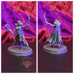 Warlock - Dark Elf, Female with Staff and Sword