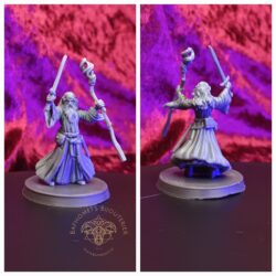 Wizard - Male with Staff and Sword