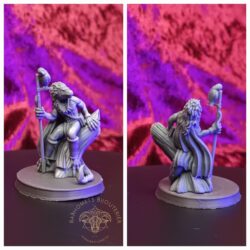 Druid - Kenku with Owl Familiar