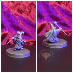 Wizard - Gnome, Male with Staff