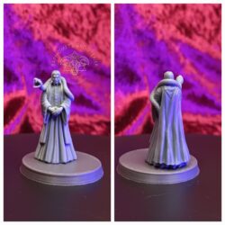 Wizard Professor - Human, Male with Snake