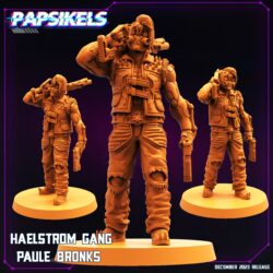 Paule Bronks - Haelstrom Gang