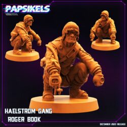 Roger Book - Haelstrom Gang