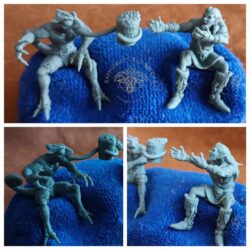 Elf & Chameleon - Fantasy Football Fans