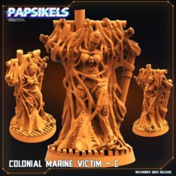 Victim C - Colonial Marine