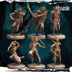Assassins - Dark Elves