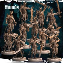 Marauders & Champion - Dark Elves