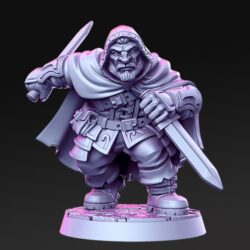 Orwin - Dwarven Assassin