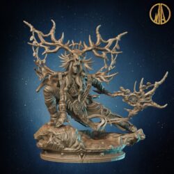 Selara Nightwhisper - Witch - Wood Elves