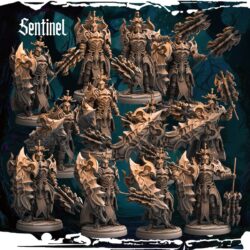 Sentinels & Champion - Dark Elves