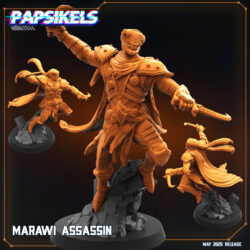 Assassin - Marawi