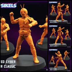 Masked Cyber Rider Classic