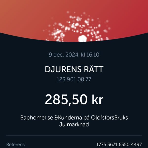 screenshot_20241209_161032_swish6518303764695321519