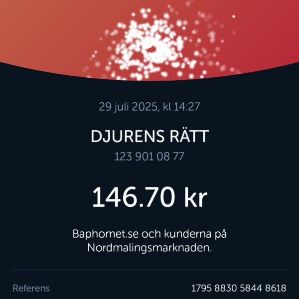 screenshot_20250729_142745_swish5921324364717889831