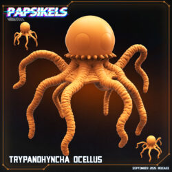 Trypanohyncha Ocellus - Xenos