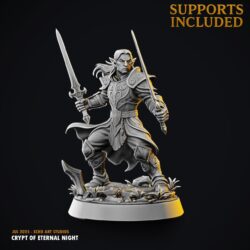 Fighter - Elf - Ilvaris of the Twin Blades