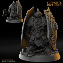 Varruk Aegisborn - Dwarf Male - Shield Hero