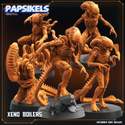 Boilers - Xenos
