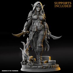 Aelira Nightstep - Elf Female - Soulknife