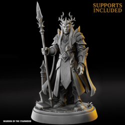 Aeren Silverspear - Elf Male - Royal Spearman