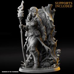 Elowyn Starflare - Elf Female - Arcanist Spellcaster