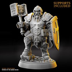 Kardrum Dawnshield - Dwarf Male - Paladin