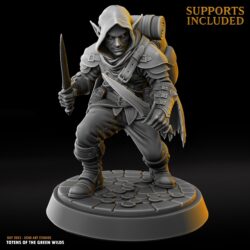 Voriel Silentblade - Half-Elf Male - Investigator