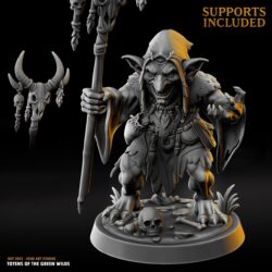 Zargra - Goblin Male - Shaman